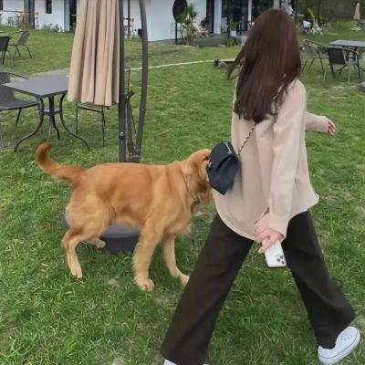 黑狐狸 在线观看